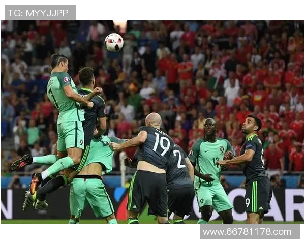 欧洲杯精彩回顾葡萄牙对阵威尔士的激烈对决与精彩瞬间分析